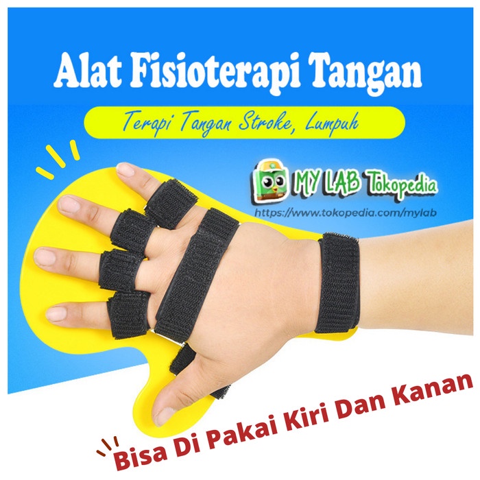Alat Terapi Alat fisioterapi Latihan Tangan Stroke Struk Lumpuh Terapi ORIGINAL(R0G9) Alat Terapi Li