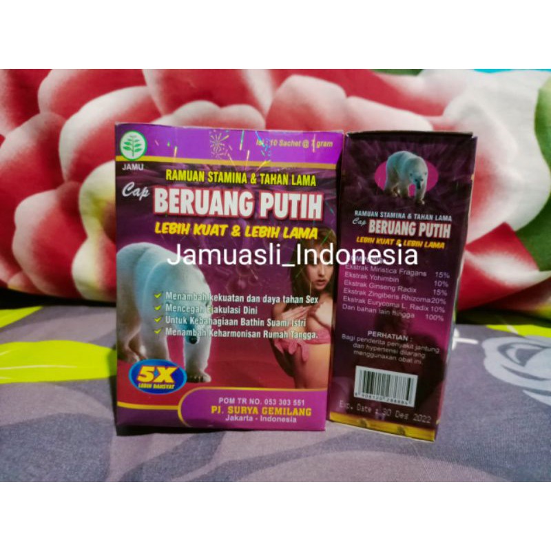 

Beruang Putih