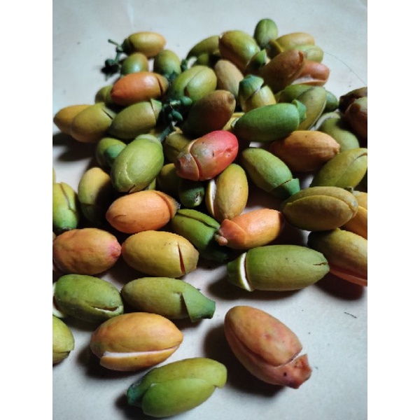 

kulit melinjo mentah 1 kg segar