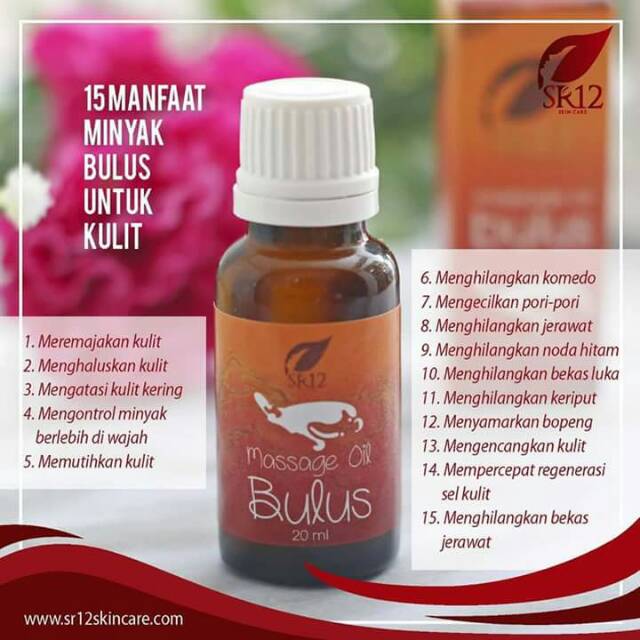Minyak Bulus SR12 / Bulus Oil / Minyak bulus asli