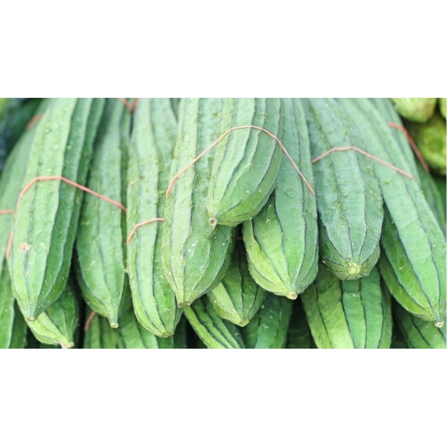 

Oyong sayur hijau fresh 1kg