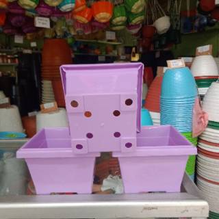  Pot  Bunga  Segi GBL Hias 20 warna  ungu  Shopee Indonesia