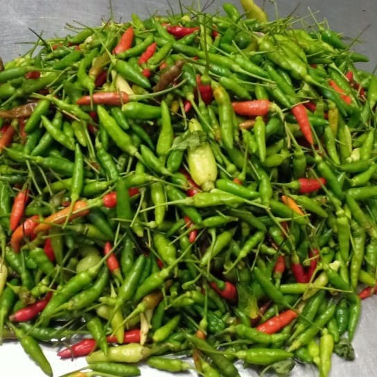 

Bumbu Cabe Rawit Hijau 100g Fresh Promo Bandung