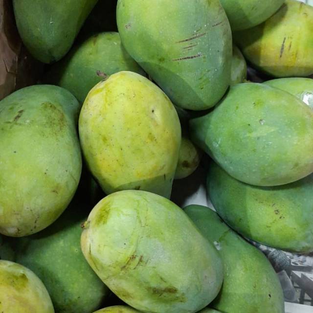 

Mangga situbondo di jaminn manissss