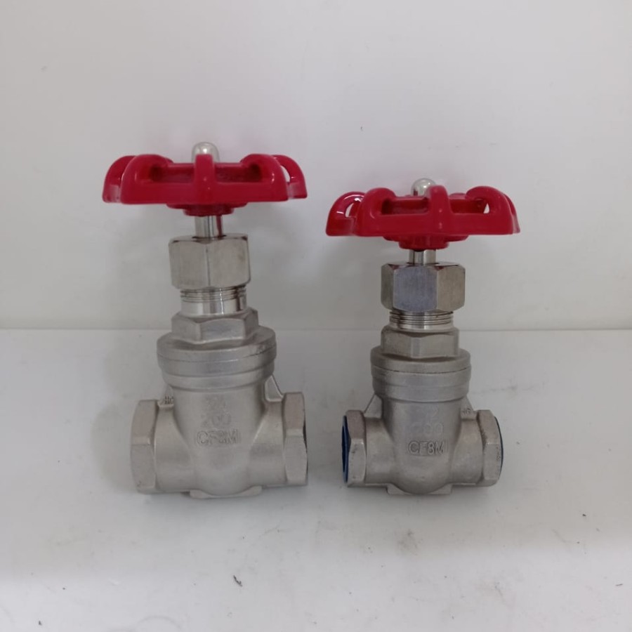 Gate Valve Drat Dlm Stainless SS 316 3/4 inch