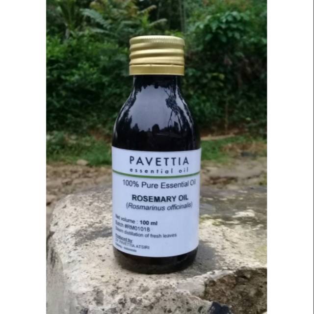 Jual 100 Ml - Rosemary (ct Cineole) Essential Oil / Minyak Atsiri ...