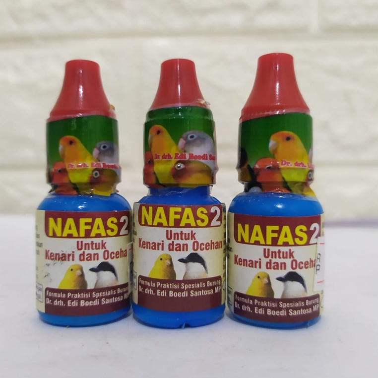 Nafas 2 kenari dan ocehan obat mengatasi burung gangguan pernafsan asma pilek batuk