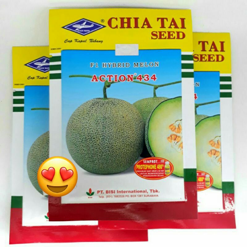 BENIH BIBIT MELON ACTION 434 F1 550 BIJI