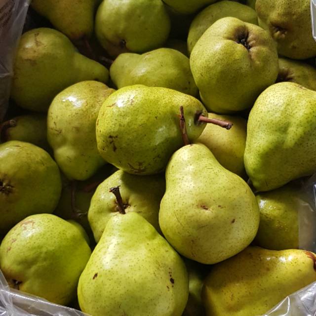 

Pear Packam