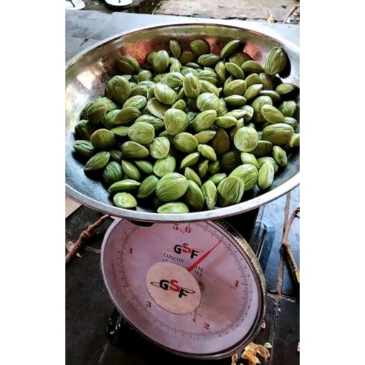

pete petai kupas segar langsung dari kebun sendiri 100gram