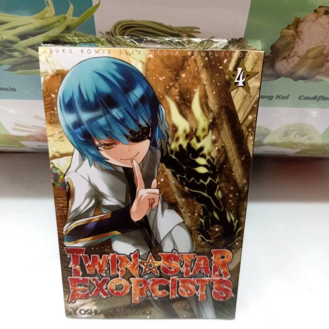 Twin Star Exorcists 04

Yoshiaki Sukeno