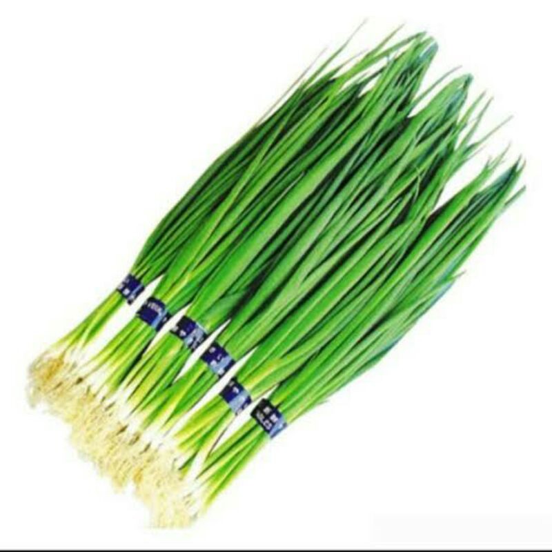 

daunbawang(chung)200g