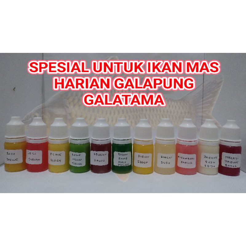 Essen ikan mas harian galapung kilo gebrus galatama