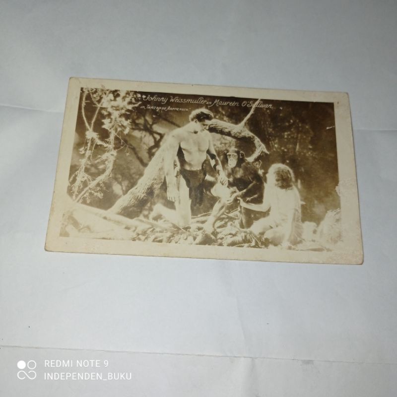 

POST CARD LAMA
