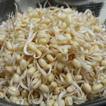 

Kecambah Sayur [200g]