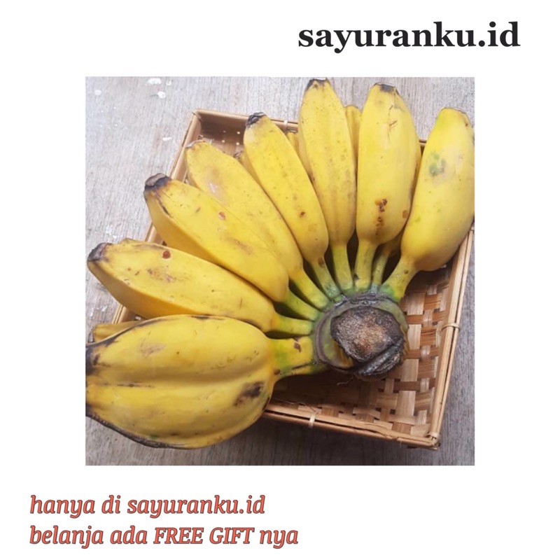 

buah segar jakarta fresh pisang kepok kuning per sisir