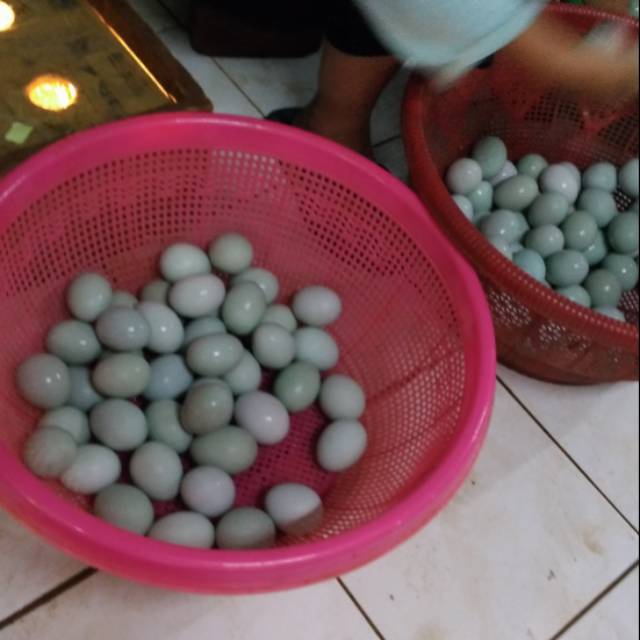 

Telur asin (soft) Grade A & B