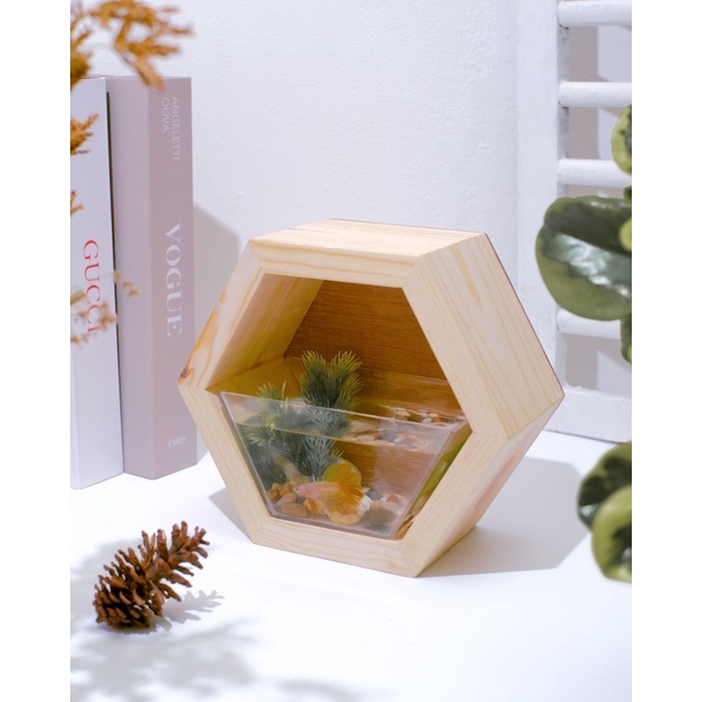 AQUARIUM KAYU MINIMALIS AESTHETIC HEXAGONAL DEKORASI RUMAH COFFEESHOP KADO WISUDA