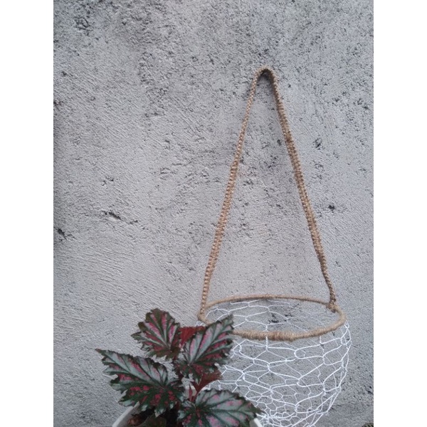 KERANJANG TELOR AYAM JUMBO