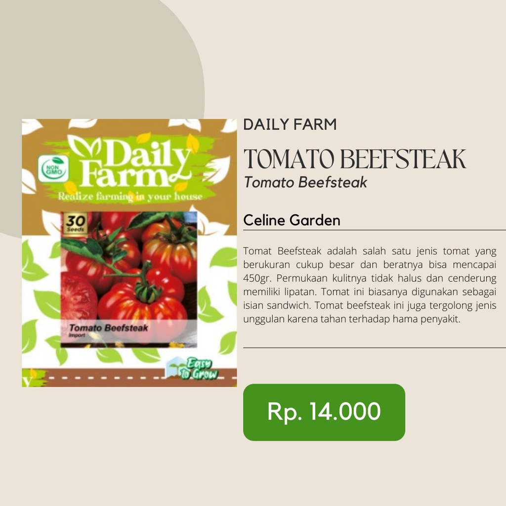 BIBIT TOMAT / TOMAT BEEFSTEAK IMPORT / DAILY FARM / ORIGINAL