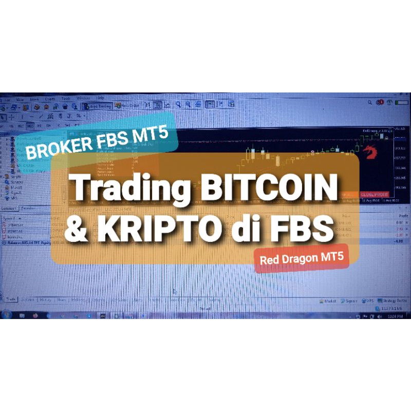 Robot Trading BTC Forex MT5