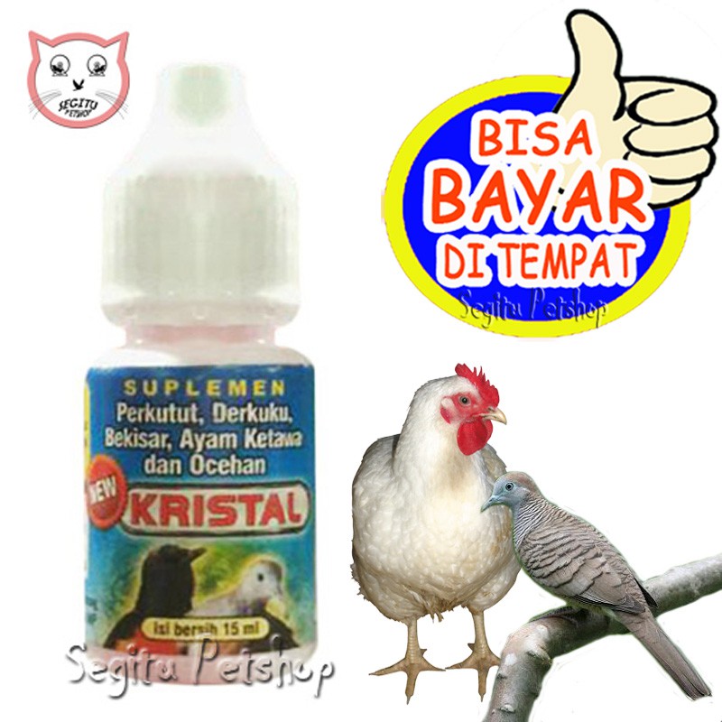 VITAMIN BURUNG KICAU GACOR AYAM KETAWA KRISTAL