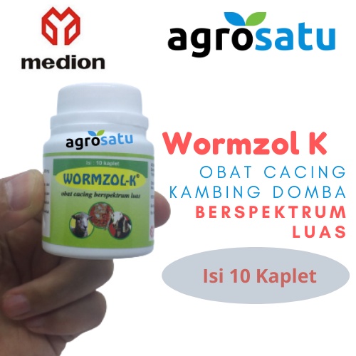 Jual Wormzol K Kaplet Obat Cacing Hewan Ternak Kambing Domba Medion ...