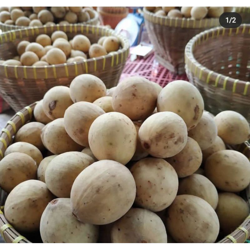

BUAH DUKU PALEMBANG ASLI PAKET 3KG