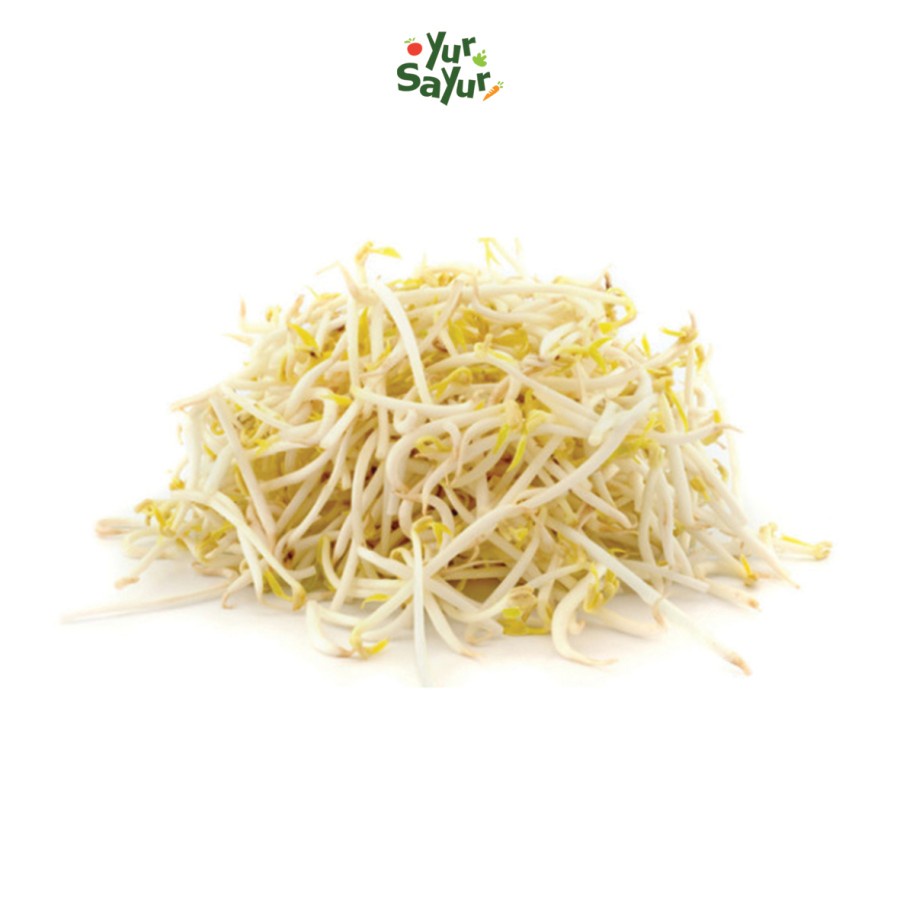 

Tauge fresh || 250gr
