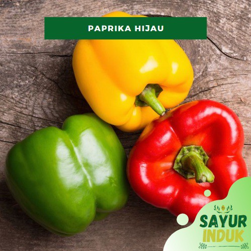 

Sayur Induk - Paprika Hijau 250 Gram Fresh Grade A Green Bell Pepper