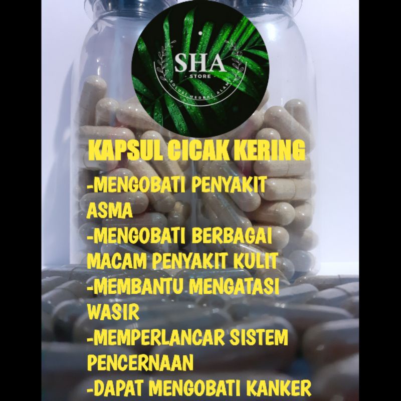 Kapsul cicak kering.(obat gatal gatal).