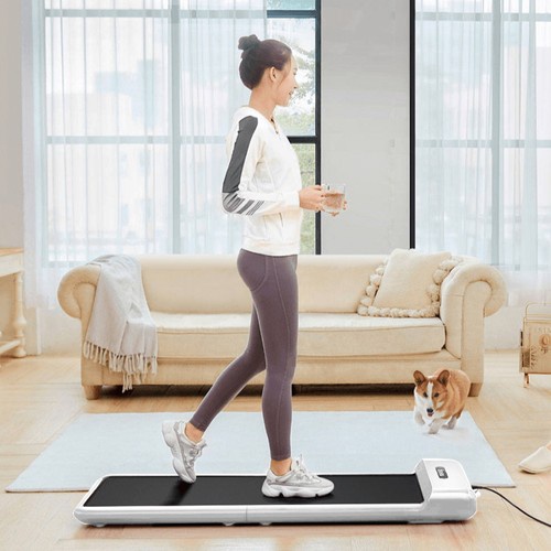 Kingsmith WalkingPad C2 Smart Colorful Foldable Gym Fitness Treadmill