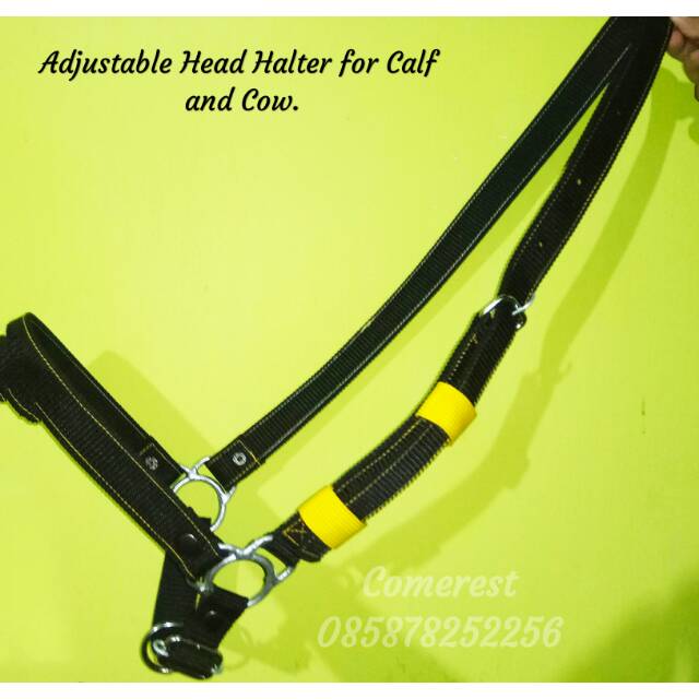 Adjustable Head halter sapi.