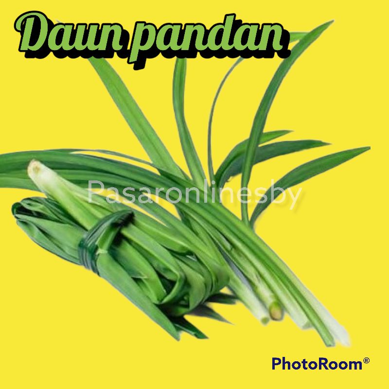 

Daun Pandan - Per Ikat