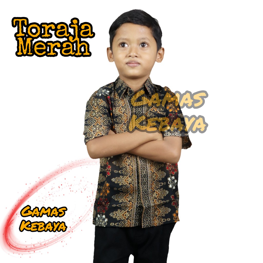 KEMEJA ANAK LENGAN PENDEK/KEMEJA ANAK/KEMEJA BATIK ANAK/HEM ANAK TANGAN PENDEK/KEMEJA ANAK MODERN