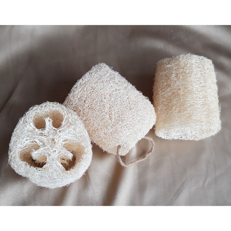 Loofah Luffa Sponge Organic Spon Gambas Organik