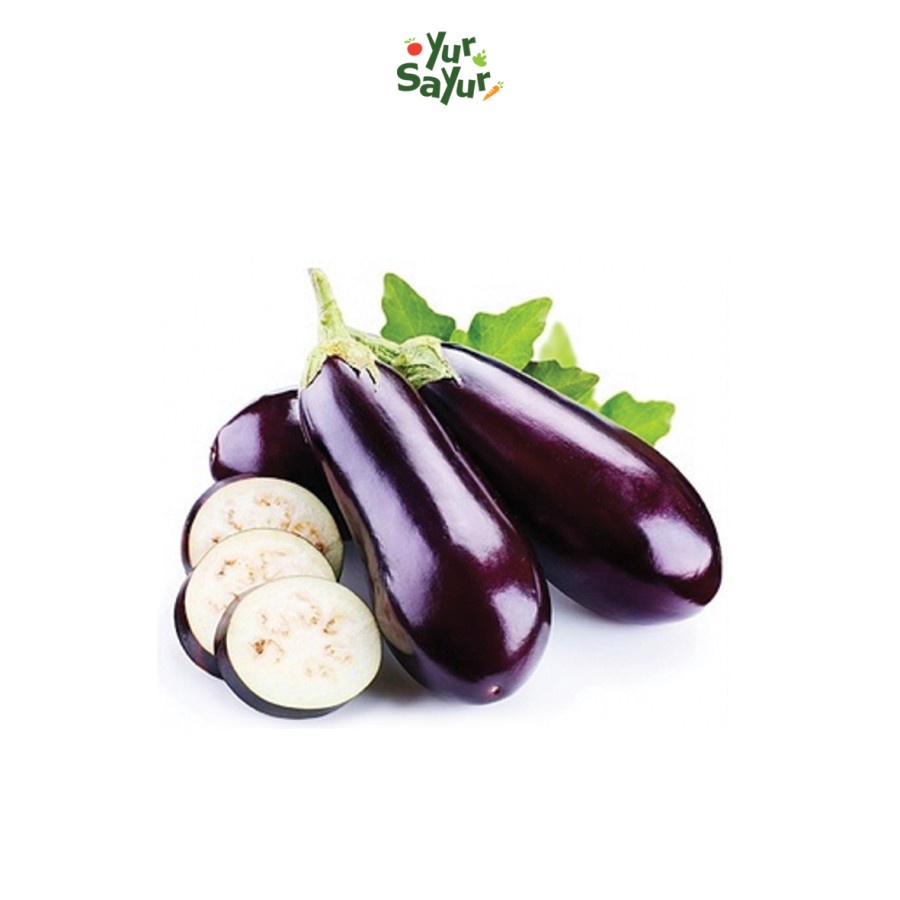 

Terong ungu segar || 1 buah -+200gr