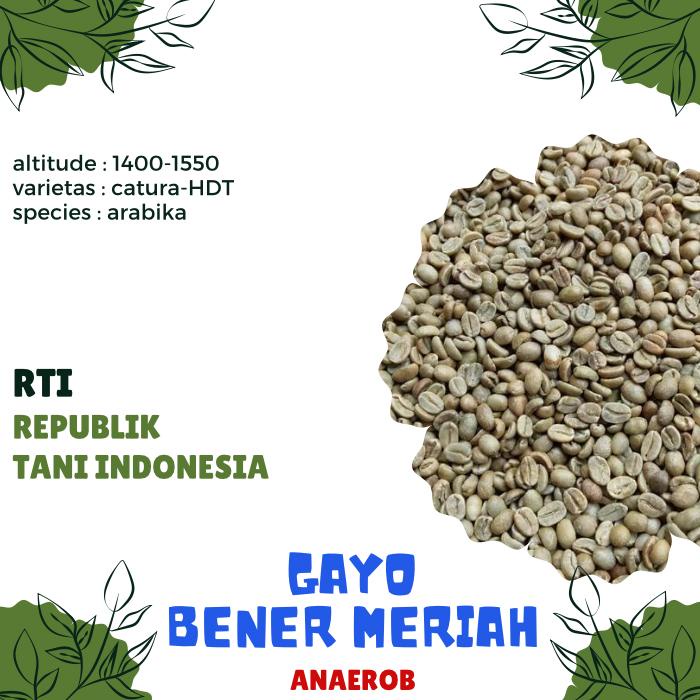 

Biji kopi mentah ARABIKA GAYO BM ANAEROB proses - GREEN BEAN