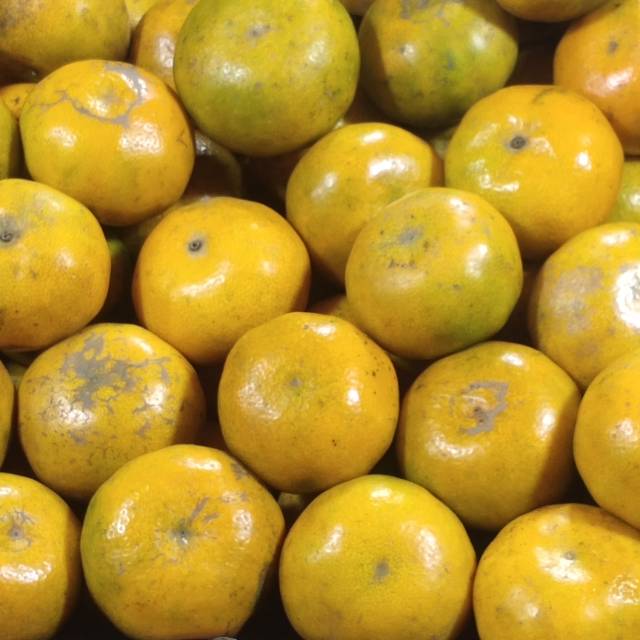 

BUAH SEGAR JERUK BRASTAGI