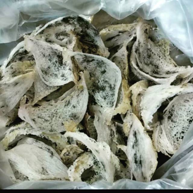 

Sarang Burung Walet Premium (Kotor)