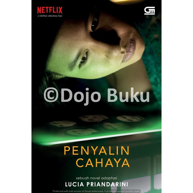 Buku Penyalin Cahaya by Lucia Priandarini