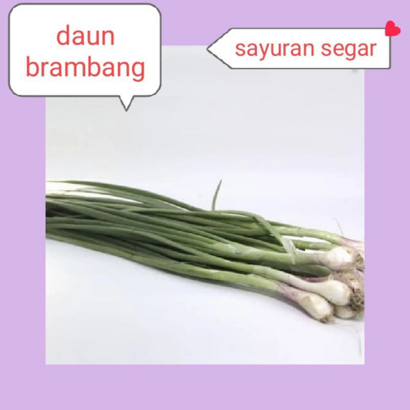 

DAUN BRAMBANG