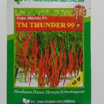 Promo 10 gr Benih Cabe Keriting TM Thunder 99 Bibit Cabai Lombok Kriting Tani Murni R0N