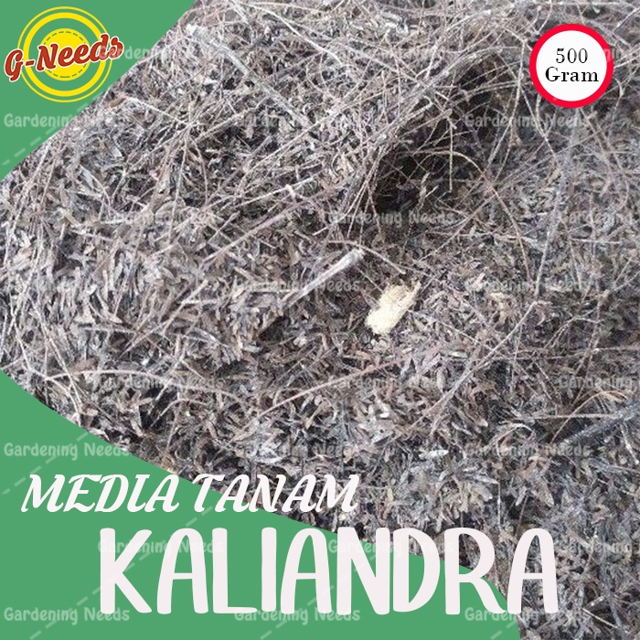 Media Tanam Kaliandra / Media Tanam Anggrek