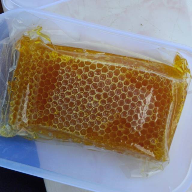 

Sarang madu / honeycomb