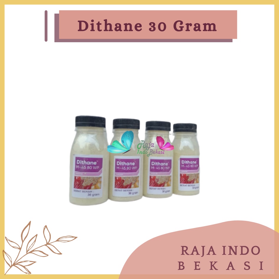 Rajaindobekasi Dithane M 45 80wp Botol 30 Gram Wp Fungsida Tanaman Kemasan Botol 30 Gram Warna Kuning  Pupuk Dithane M-45 80wp 200gr Fungisida Pengendali Hama Jamur Pada Daun Dithane M 45 80wp 1 Kg