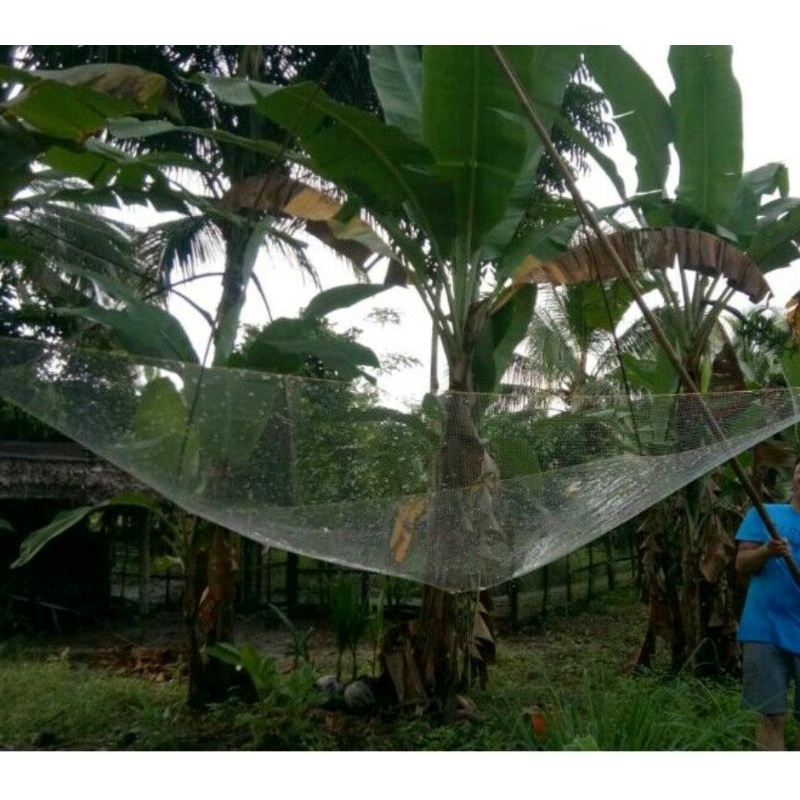 tangkul ikan dan udang