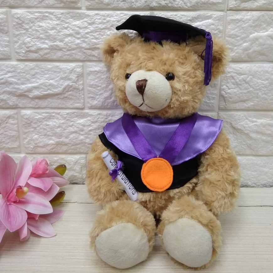 Boneka Wisuda Toga Ungu 10"/boneka graduation/Boneka Toga/Kado Wisuda
