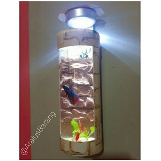 Aquarium Mini Aquarium Cupang Aquarium Dinding Aquarium Mini Aquarium Cupang Aquarium Dinding