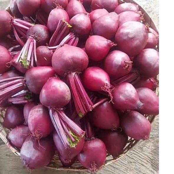 

ぃ Buah Bit/Beetroot Fresh Kualitas super 1kg る